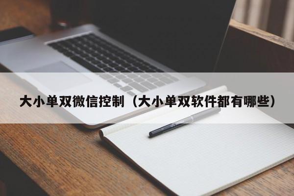 大小单双微信控制(大小单双软件都有哪些)